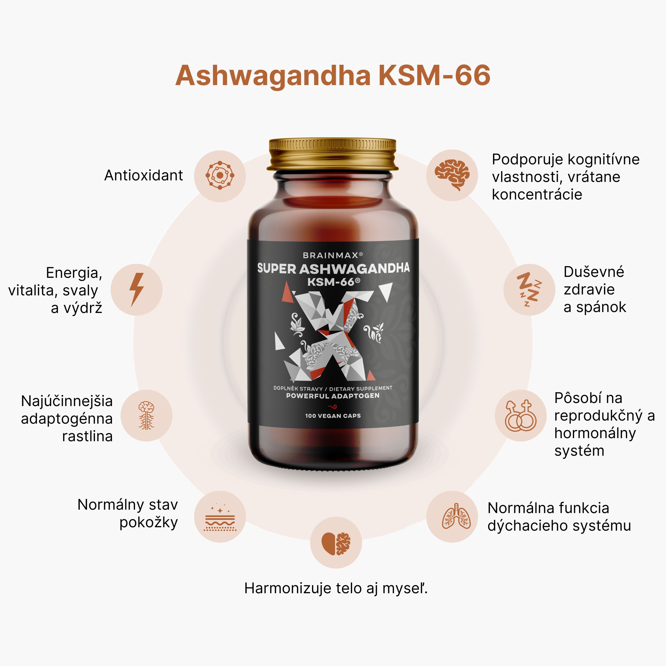 (Slovenčina) Ashwagandha KSM-66 (2)
